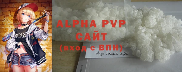 дмт Богданович