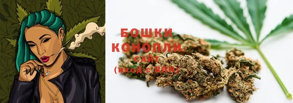 прущие грибы Богородск