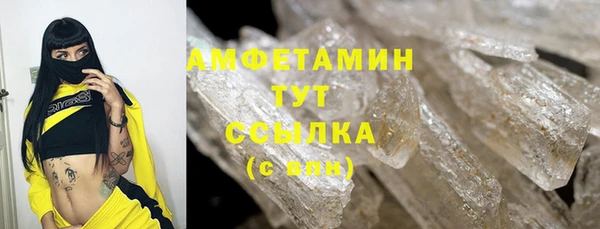 дмт Богданович