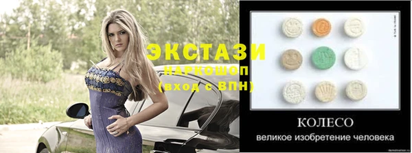 дмт Богданович