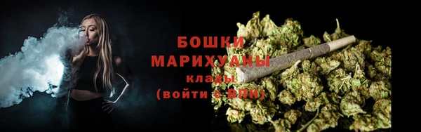 прущие грибы Богородск