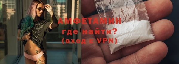 дмт Богданович