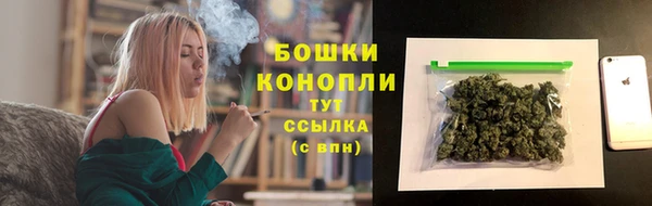 дмт Богданович