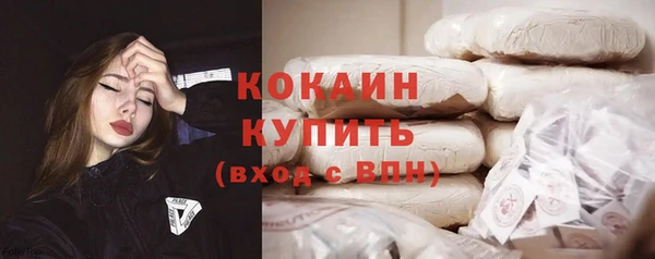 прущие грибы Богородск