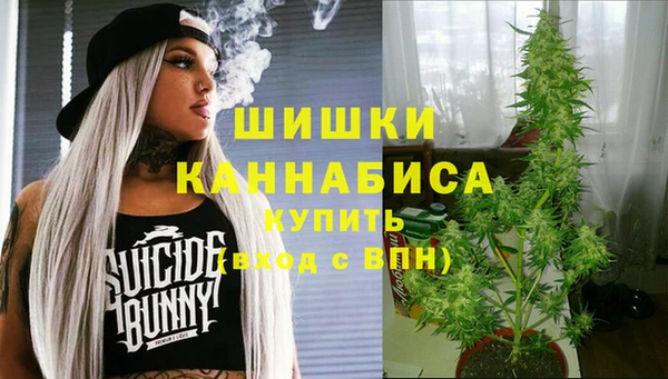 прущие грибы Богородск