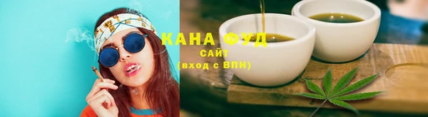 дмт Богданович