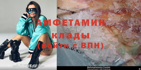 дмт Богданович