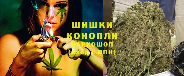 прущие грибы Богородск