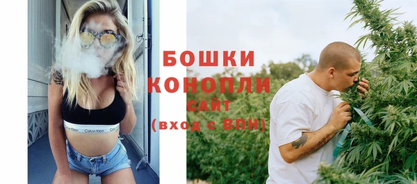 дмт Богданович