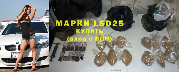 дмт Богданович