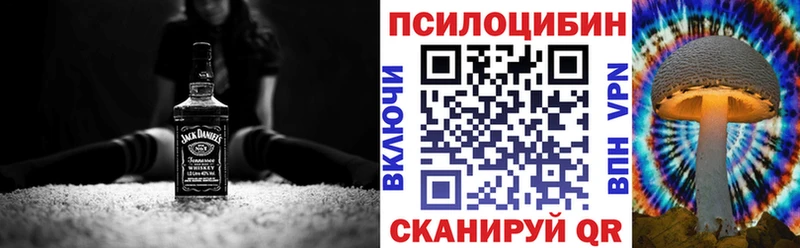 Псилоцибиновые грибы Psilocybe  Купить где  Норильск 